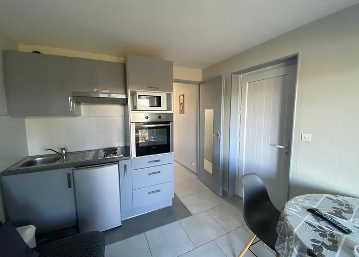 T2 Avec Terrasse A 100m Des Thermes, Wi-fi - Fr-1-541-140 La Roche-Posay