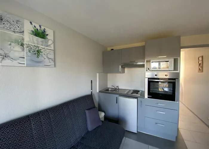 T2 Avec Terrasse A 100m Des Thermes, Wi-fi - Fr-1-541-140 * La Roche-Posay