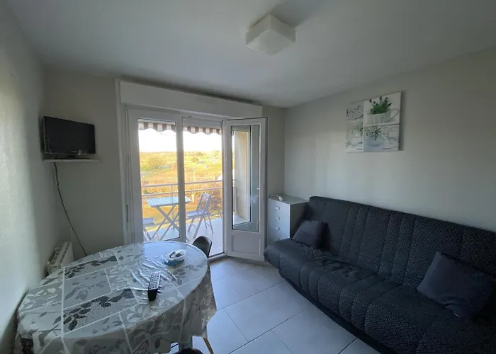 T2 Avec Terrasse A 100m Des Thermes, Wi-fi - Fr-1-541-140 * La Roche-Posay